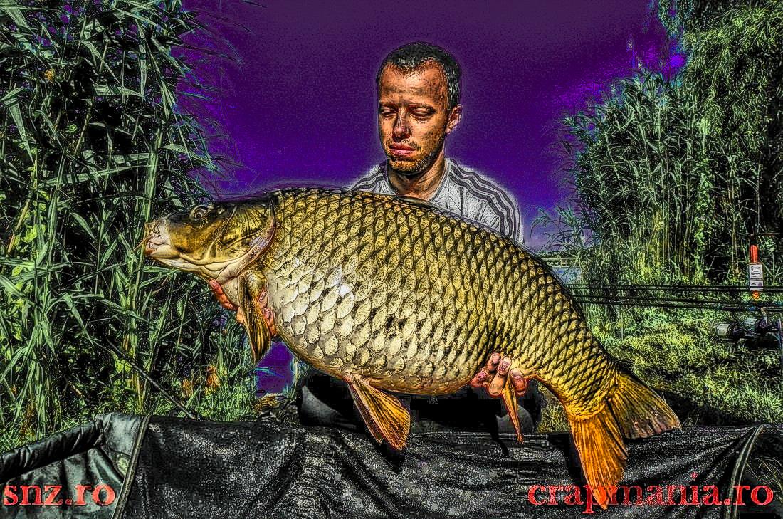 Senior Trophy (2) - 2013